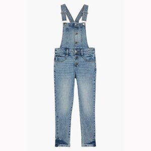 Treasure & Bond (Nordstrom brand) Mid Vintage Wash Denim Button Front Overalls
